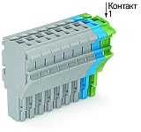 1-проводниковая розетка; Push-in CAGE CLAMP®; 4 mm²; Шаг контактов 5,2 мм; 11-пол.; 4,00 mm²; серые, синие, желто-зеленые